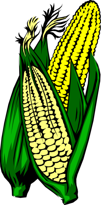 corn
